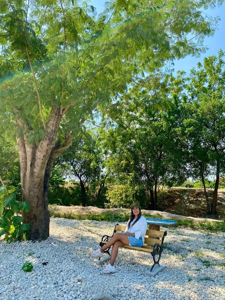 Zona verde de San Antonio con árboles, piso de piedra y una persona sentada en una banca.
