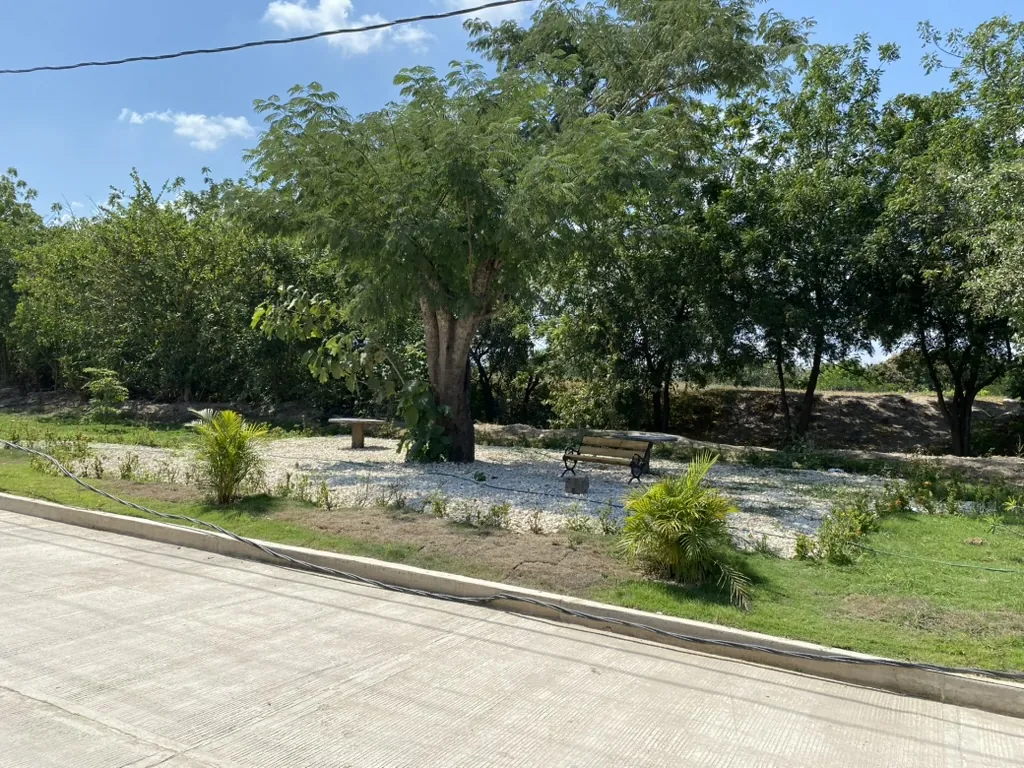 Zona verde con árboles y bancas de San Antonio, vista desde la calle pavimentada.