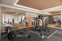 Catleya 23.webp