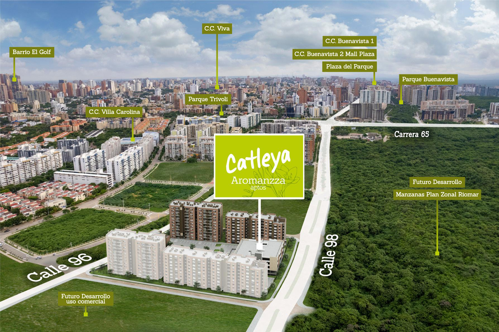 Catleya 20.webp