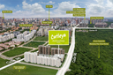 Catleya 20.webp
