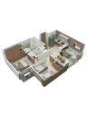 Catleya 7.webp